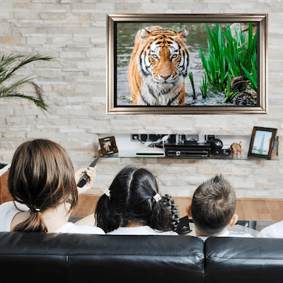 custom frame your TV